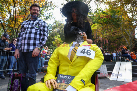 Halloweenowa parada psów