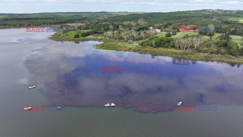 Jezioro Terkos zmienia kolor na różowy pod wpływem jesieni