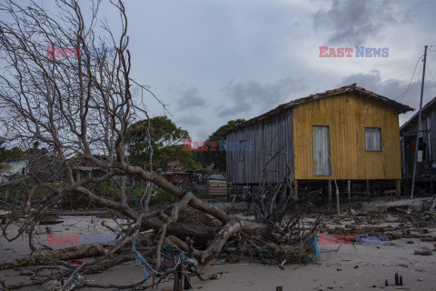 Życie na wyspie Marajo - Nur Photo