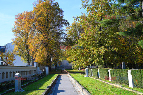 Cmentarze przed dniem Wszystkich Świętych