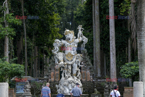 Rezerwat makaków na Bali