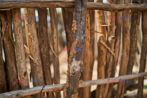 Wzgórza Matobo w Zimbabwe