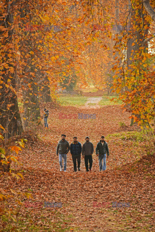 Jesień w Śrinagarze