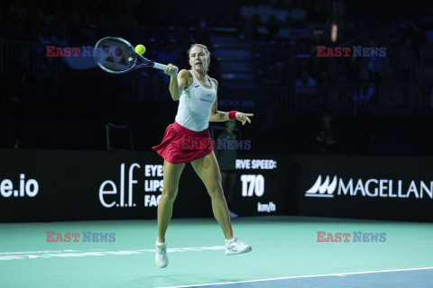 Billie Jean King Cup 2024: Polska - Hiszpania