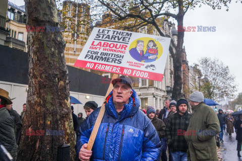 Protest brytyjskich rolników