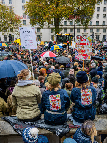 Protest brytyjskich rolników