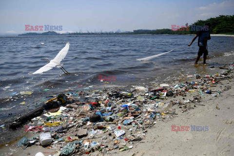 Szczyt G20 w Rio de Janeiro