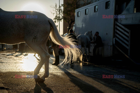 International Horse Show w Sewilli