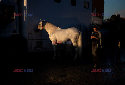 International Horse Show w Sewilli