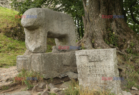 Dolny Śląsk Monk