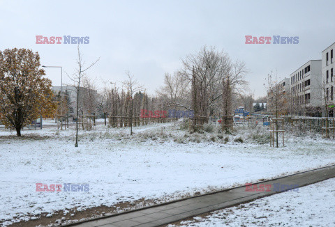 Pierwszy śnieg w Warszawie