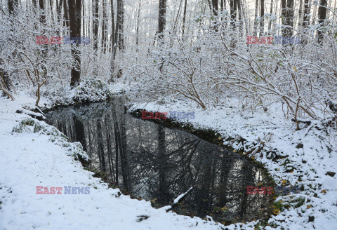 Pierwszy śnieg w Warszawie