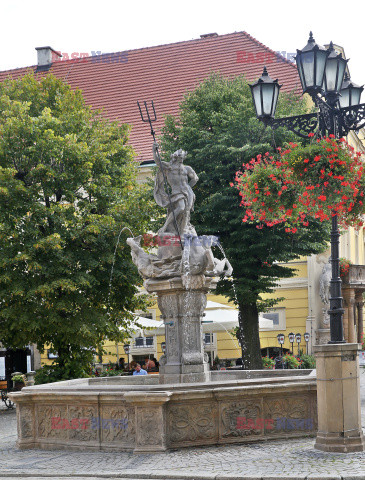 Dolny Śląsk Monk