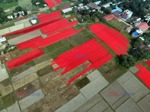 Suszenie tkaniny Red Salu w Bangladeszu