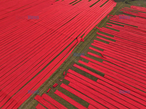 Suszenie tkaniny Red Salu w Bangladeszu