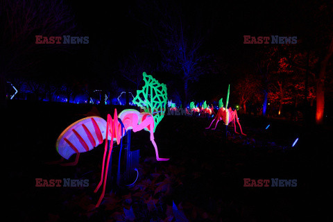 Ogród świateł Naturaleza Encendida w Madrycie