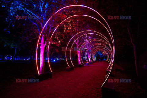 Ogród świateł Naturaleza Encendida w Madrycie