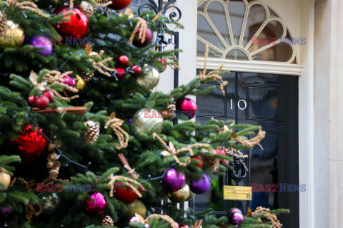 Choinka przy Downing Street 10