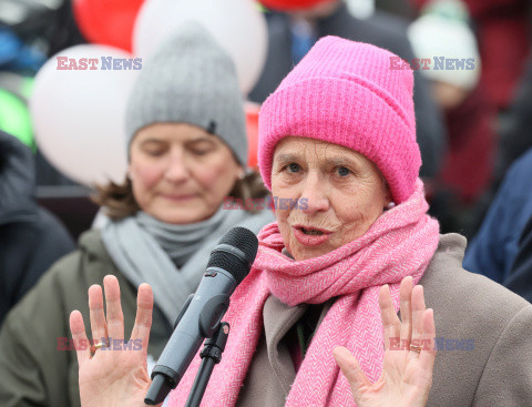 Protest ph. TAK dla edukacji! NIE dla deprawacji!