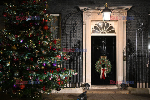 Choinka przy Downing Street 10