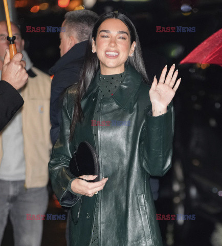 Dua Lipa w zielonym płaszczu