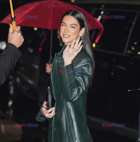 Dua Lipa w zielonym płaszczu