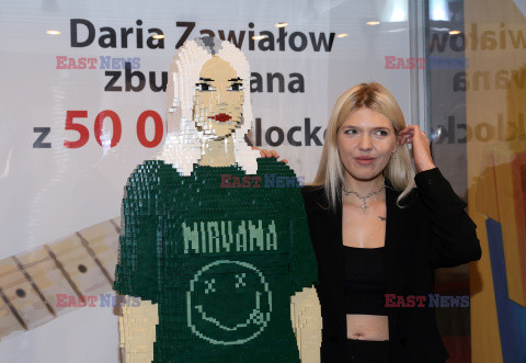 Daria Zawiałow z klocków LEGO