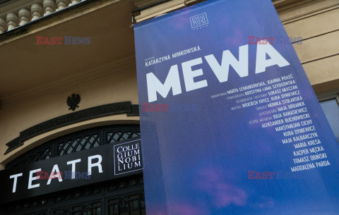 "Mewa" w Teatrze Collegium Nobilium