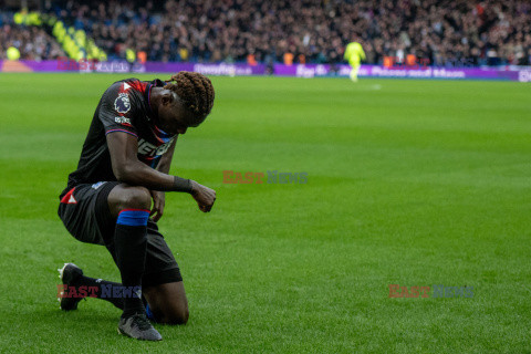 Brighton & Hove Albion FC v Crystal Palace FC - Premier League