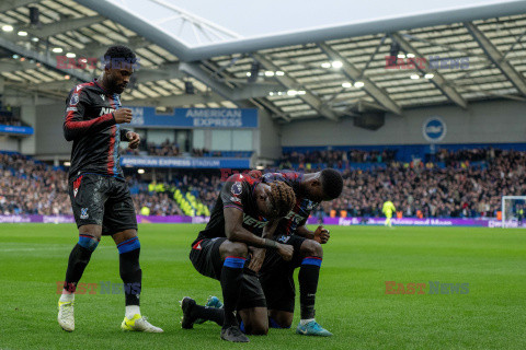 Brighton & Hove Albion FC v Crystal Palace FC - Premier League