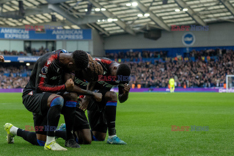 Brighton & Hove Albion FC v Crystal Palace FC - Premier League