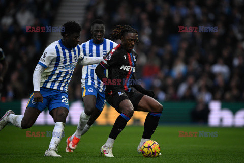 Brighton & Hove Albion FC v Crystal Palace FC - Premier League