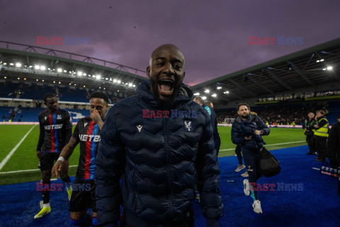 Brighton & Hove Albion FC v Crystal Palace FC - Premier League