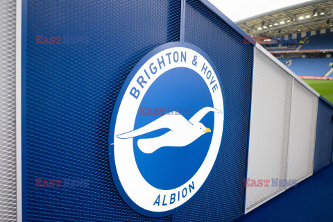 Brighton & Hove Albion FC v Crystal Palace FC - Premier League