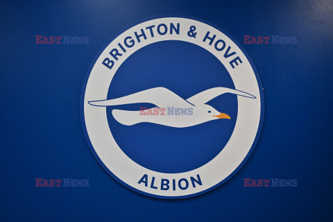 Brighton & Hove Albion FC v Crystal Palace FC - Premier League