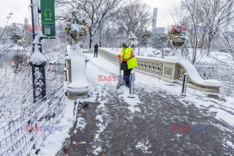 Zima w Central Parku