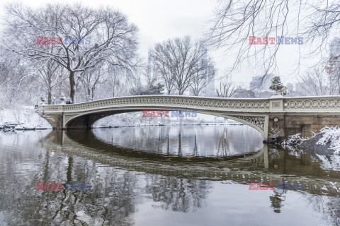 Zima w Central Parku