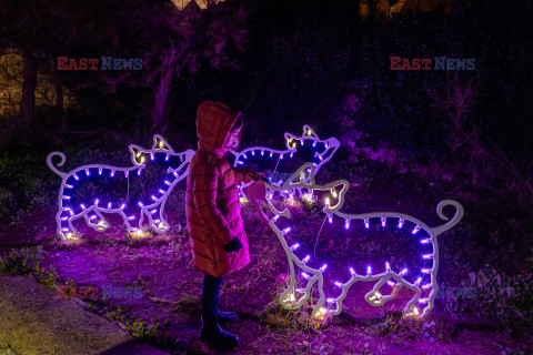 Zimowy festiwal światła w Alberobello