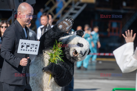 Tysiące pand na lotnisku w Hong Kongu