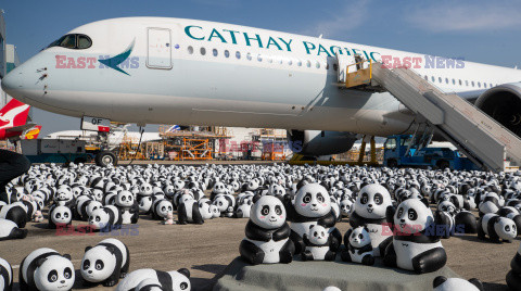 Tysiące pand na lotnisku w Hong Kongu