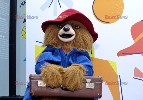 Miś Paddington na dworcu w Kijowie