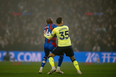 Crystal Palace FC v Southampton FC - Premier League