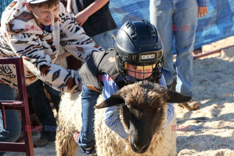 Pokaz zwierząt gospodarskich National Livestock Show