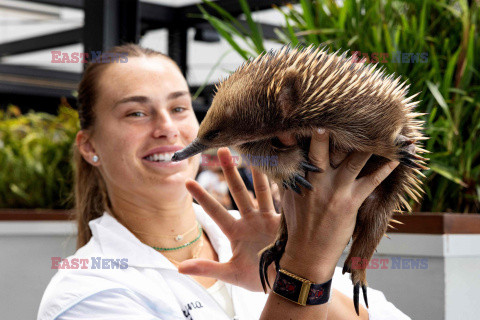 Jannik Sinner i Aryna Sabalenka poznają zwierzęta Australii