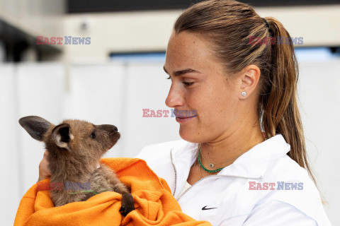 Jannik Sinner i Aryna Sabalenka poznają zwierzęta Australii