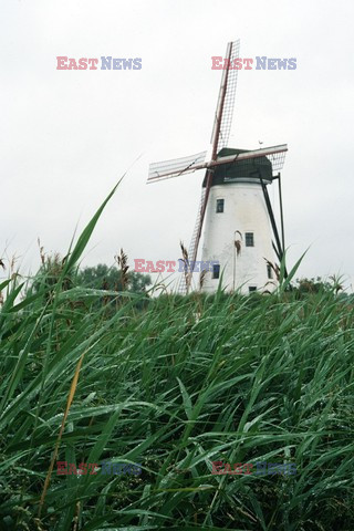 Farma w Belgii -Indoor Architecture