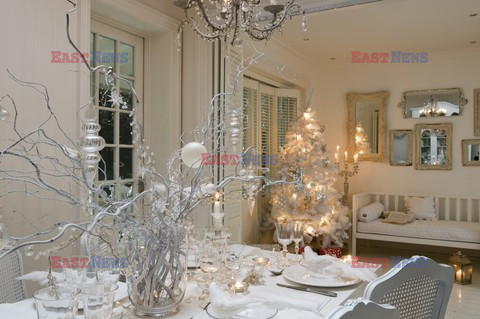 Światła i dekoracje świąteczne -Andreas Von Einsiedel