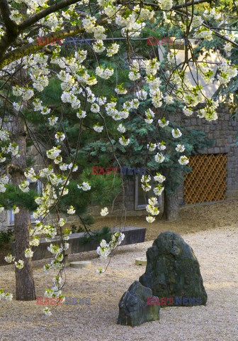 Wiosenny ogród w stylu japońskim - Indoor Architecture