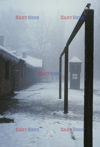 Auschwitz-Birkenau WMZ