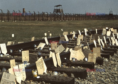 Auschwitz-Birkenau WMZ